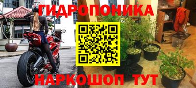 apvp Краснодар