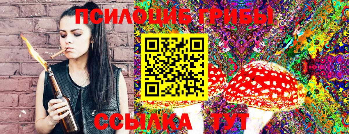 Псилоцибиновые грибы мухоморы Кашира