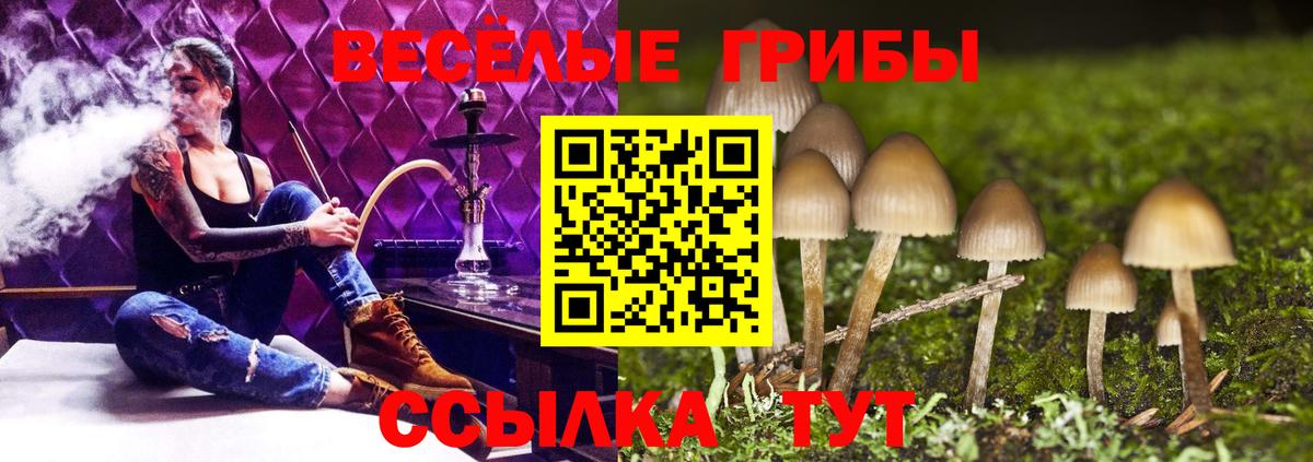 Кашира  Галлюциногенные грибы прущие грибы  Псилоцибиновые грибы прущие грибы  где купить наркотик  Вход с VPN 